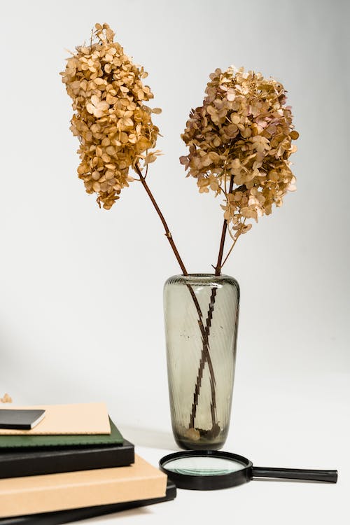 Magnifying Glass and Flowers on Desk